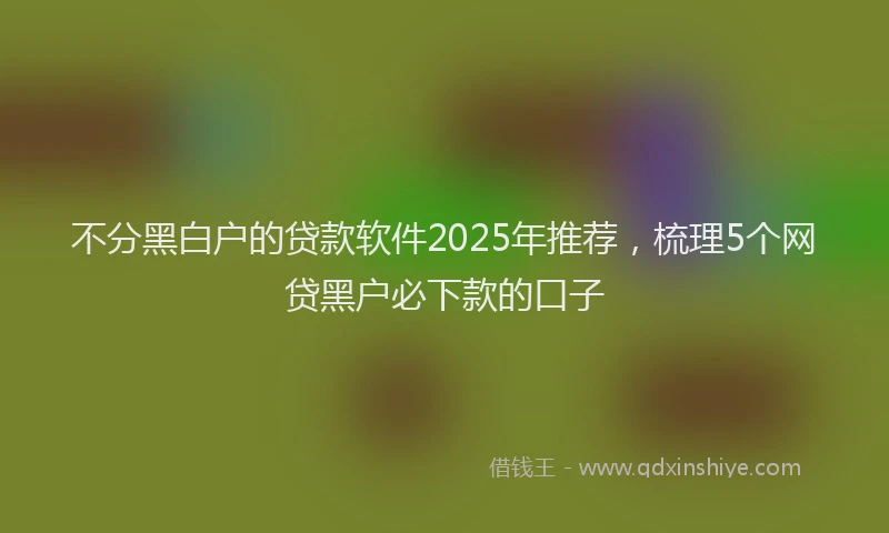 不分黑白户的贷款软件2025年推荐，梳理5个网贷黑户必下款的口子