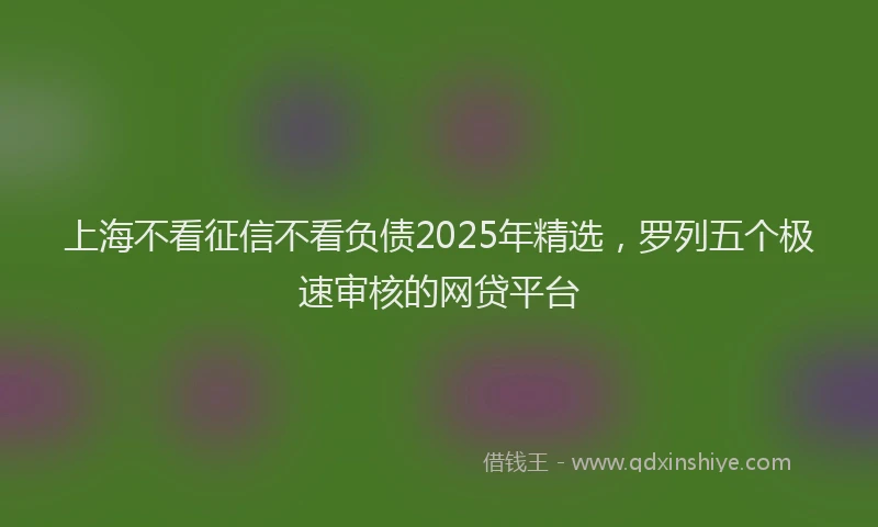 上海不看征信不看负债2025年精选，罗列五个极速审核的网贷平台