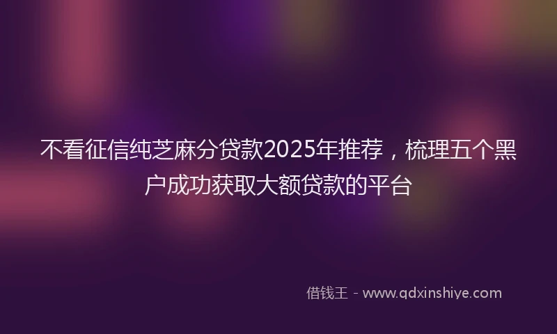 不看征信纯芝麻分贷款2025年推荐，梳理五个黑户成功获取大额贷款的平台