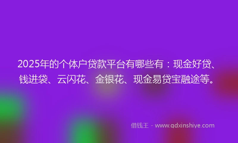 2025年的个体户贷款平台有哪些有：现金好贷、钱进袋、云闪花、金银花、现金易贷宝融途等。