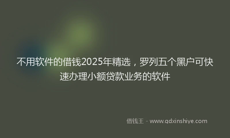不用软件的借钱2025年精选，罗列五个黑户可快速办理小额贷款业务的软件