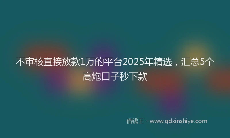 不审核直接放款1万的平台2025年精选，汇总5个高炮口子秒下款
