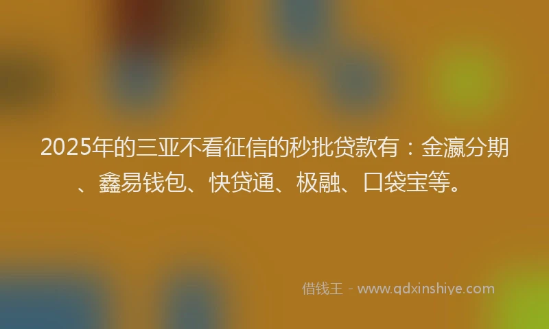 2025年的三亚不看征信的秒批贷款有：金瀛分期、鑫易钱包、快贷通、极融、口袋宝等。