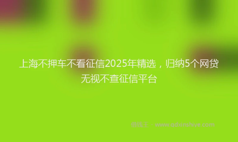 上海不押车不看征信2025年精选，归纳5个网贷无视不查征信平台