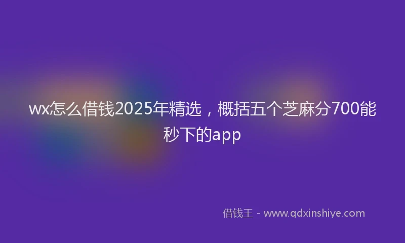wx怎么借钱2025年精选，概括五个芝麻分700能秒下的app