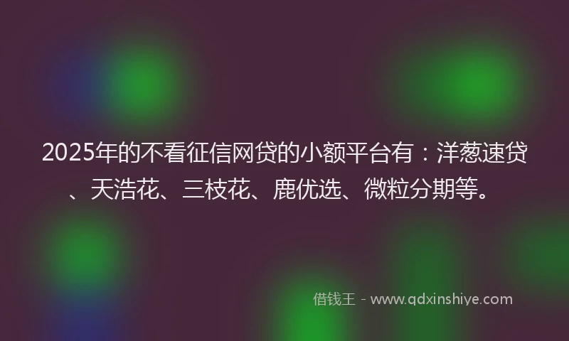2025年的不看征信网贷的小额平台有：洋葱速贷、天浩花、三枝花、鹿优选、微粒分期等。