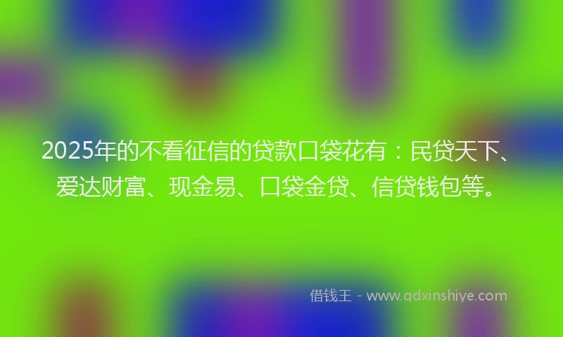 2025年的不看征信的贷款口袋花有：民贷天下、爱达财富、现金易、口袋金贷、信贷钱包等。