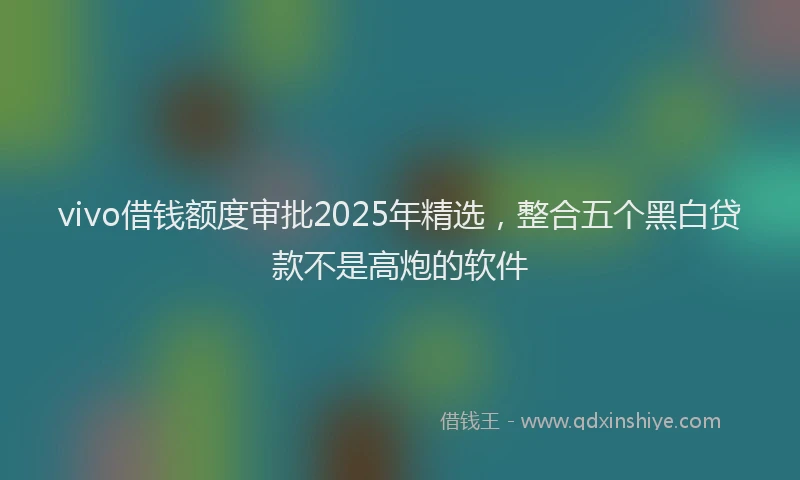 vivo借钱额度审批2025年精选，整合五个黑白贷款不是高炮的软件