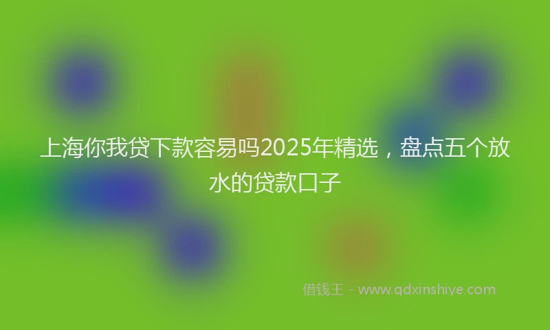 上海你我贷下款容易吗2025年精选，盘点五个放水的贷款口子