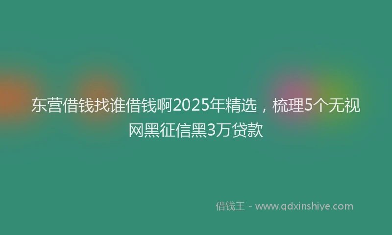 东营借钱找谁借钱啊2025年精选，梳理5个无视网黑征信黑3万贷款