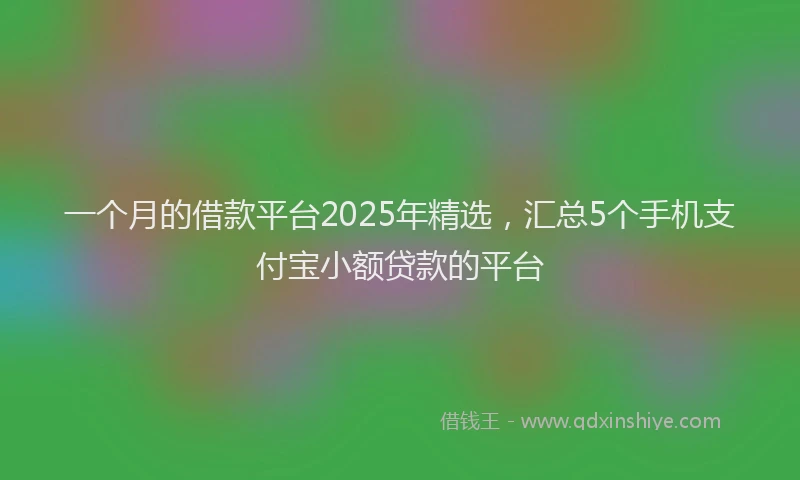一个月的借款平台2025年精选，汇总5个手机支付宝小额贷款的平台