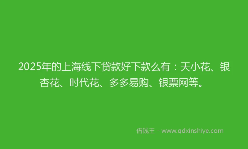 2025年的上海线下贷款好下款么有：天小花、银杏花、时代花、多多易购、银票网等。