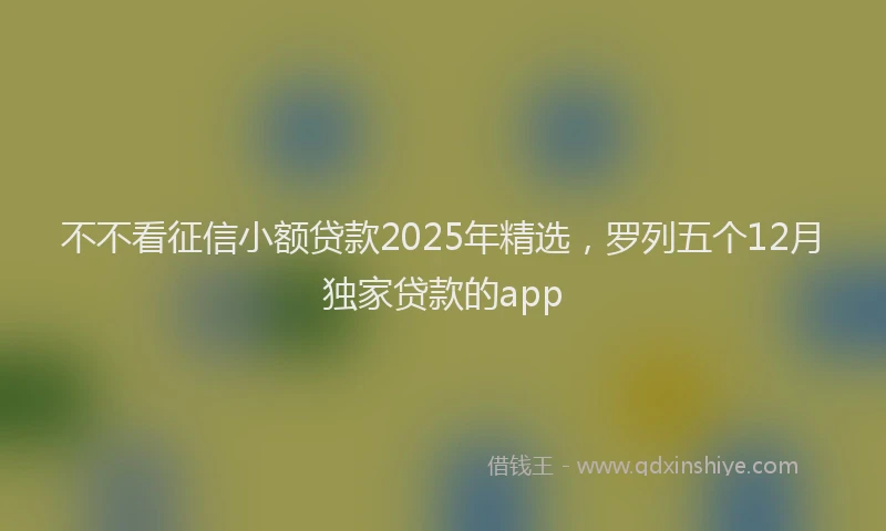 不不看征信小额贷款2025年精选，罗列五个12月独家贷款的app