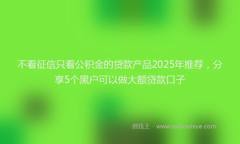 不看征信只看公积金的贷款产品2025年推荐，分享5个黑户可以做大额贷款口子