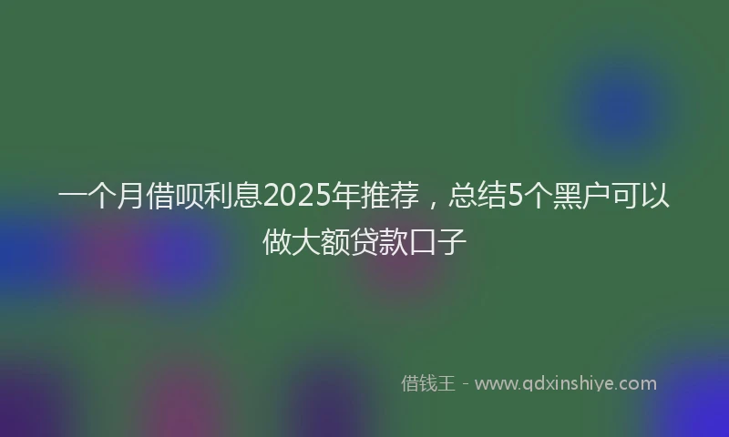 一个月借呗利息2025年推荐，总结5个黑户可以做大额贷款口子