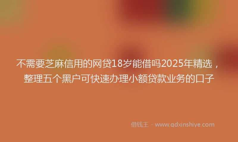 不需要芝麻信用的网贷18岁能借吗2025年精选，整理五个黑户可快速办理小额贷款业务的口子