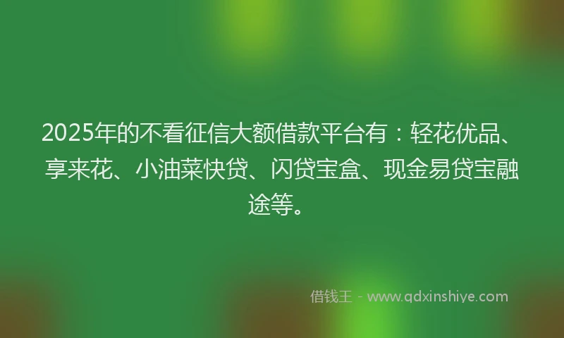 2025年的不看征信大额借款平台有：轻花优品、享来花、小油菜快贷、闪贷宝盒、现金易贷宝融途等。