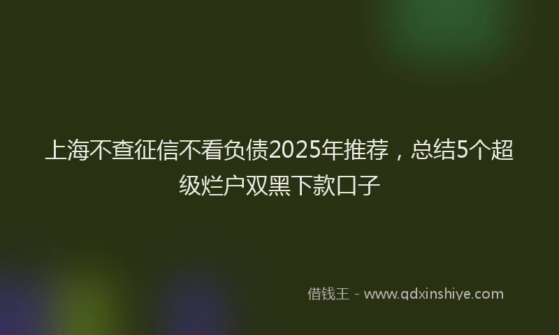 上海不查征信不看负债2025年推荐，总结5个超级烂户双黑下款口子
