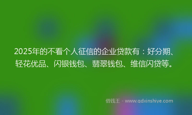 2025年的不看个人征信的企业贷款有：好分期、轻花优品、闪银钱包、翡翠钱包、维信闪贷等。