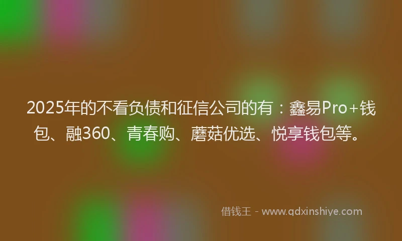 2025年的不看负债和征信公司的有：鑫易Pro+钱包、融360、青春购、蘑菇优选、悦享钱包等。