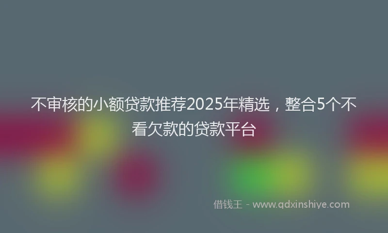 不审核的小额贷款推荐2025年精选，整合5个不看欠款的贷款平台