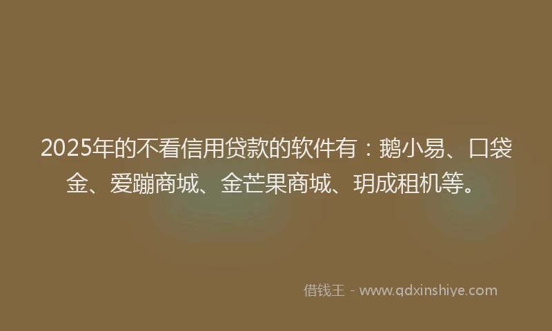 2025年的不看信用贷款的软件有：鹅小易、口袋金、爱蹦商城、金芒果商城、玥成租机等。