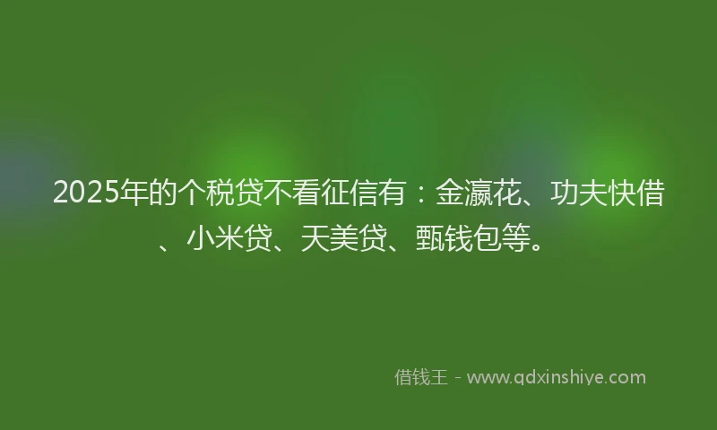 2025年的个税贷不看征信有：金瀛花、功夫快借、小米贷、天美贷、甄钱包等。