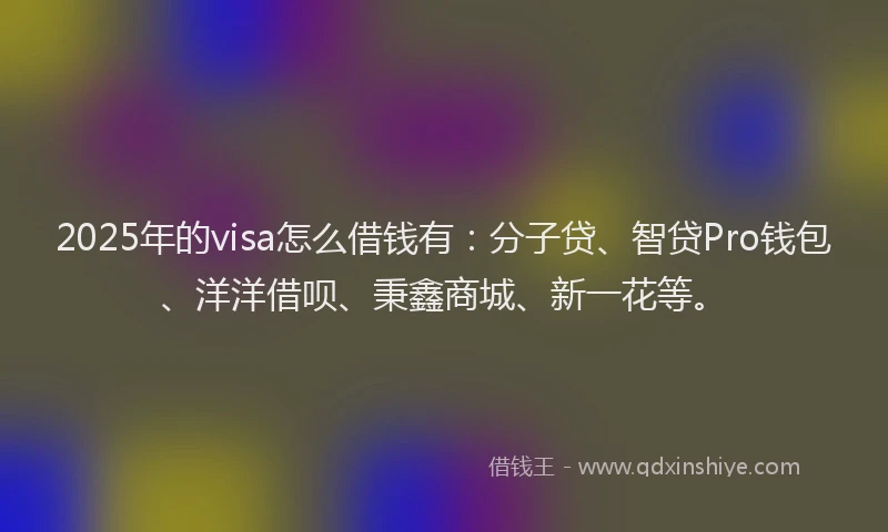 2025年的visa怎么借钱有：分子贷、智贷Pro钱包、洋洋借呗、秉鑫商城、新一花等。