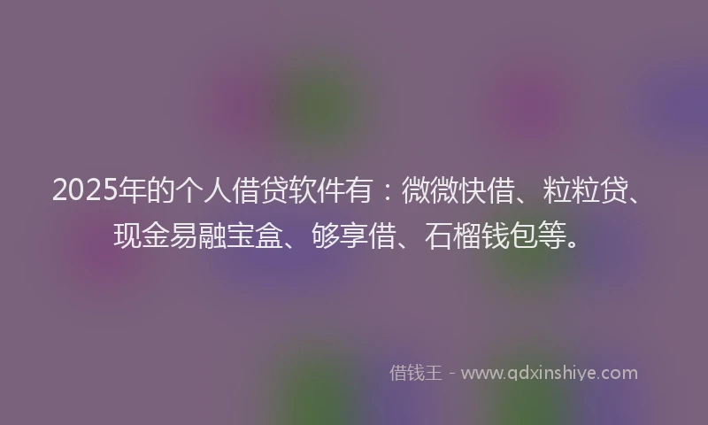 2025年的个人借贷软件有：微微快借、粒粒贷、现金易融宝盒、够享借、石榴钱包等。