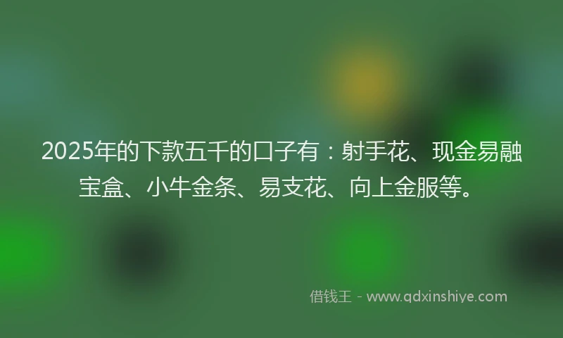 2025年的下款五千的口子有：射手花、现金易融宝盒、小牛金条、易支花、向上金服等。