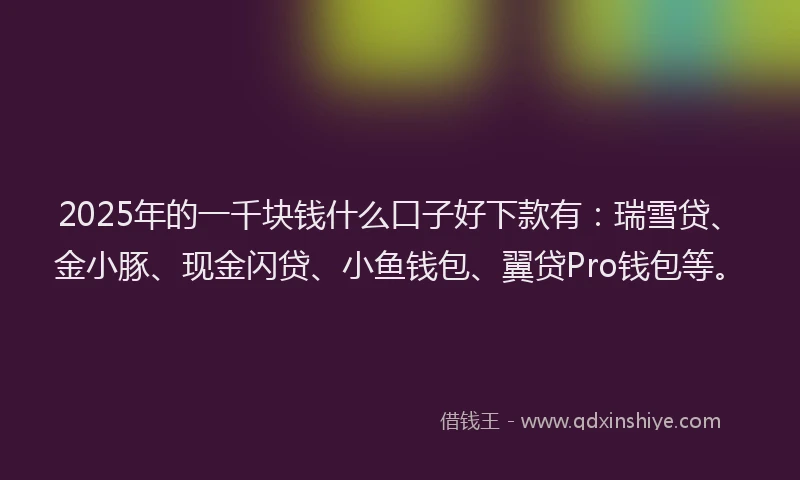 2025年的一千块钱什么口子好下款有：瑞雪贷、金小豚、现金闪贷、小鱼钱包、翼贷Pro钱包等。