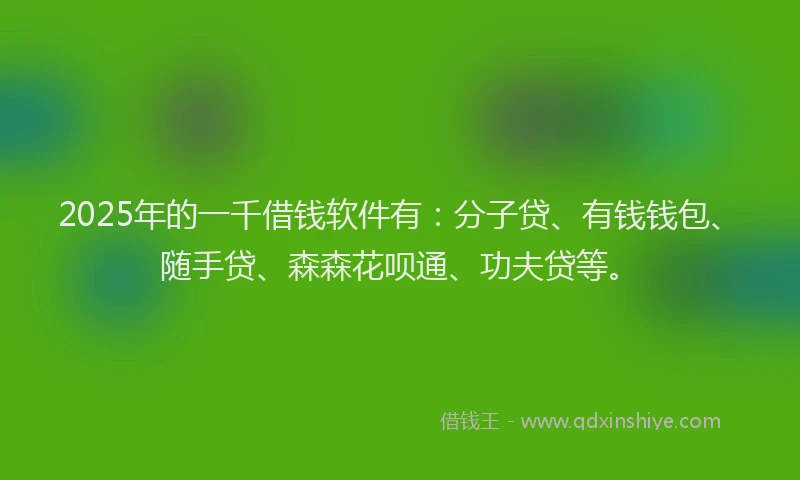 2025年的一千借钱软件有：分子贷、有钱钱包、随手贷、森森花呗通、功夫贷等。