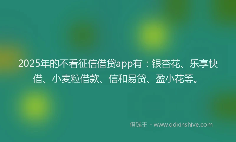 2025年的不看征信借贷app有：银杏花、乐享快借、小麦粒借款、信和易贷、盈小花等。