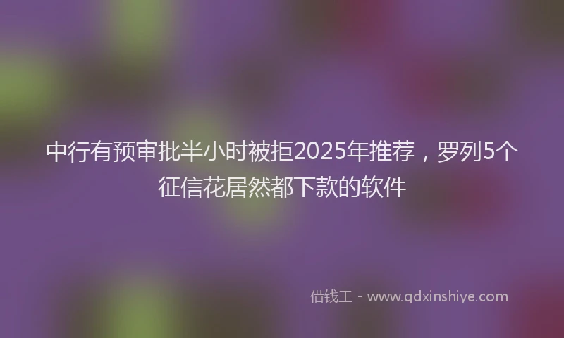 中行有预审批半小时被拒2025年推荐，罗列5个征信花居然都下款的软件