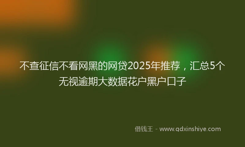 不查征信不看网黑的网贷2025年推荐，汇总5个无视逾期大数据花户黑户口子