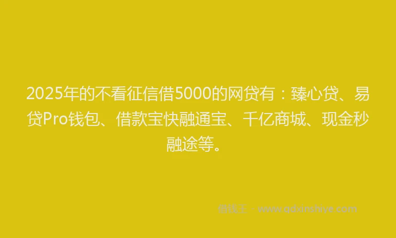 2025年的不看征信借5000的网贷有：臻心贷、易贷Pro钱包、借款宝快融通宝、千亿商城、现金秒融途等。