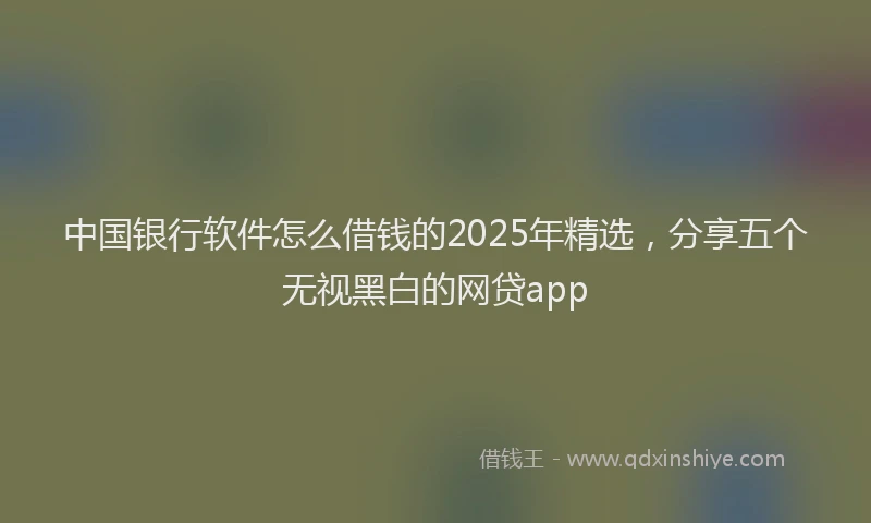 中国银行软件怎么借钱的2025年精选，分享五个无视黑白的网贷app
