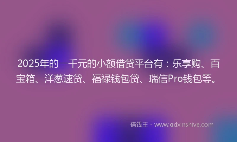 2025年的一千元的小额借贷平台有：乐享购、百宝箱、洋葱速贷、福禄钱包贷、瑞信Pro钱包等。