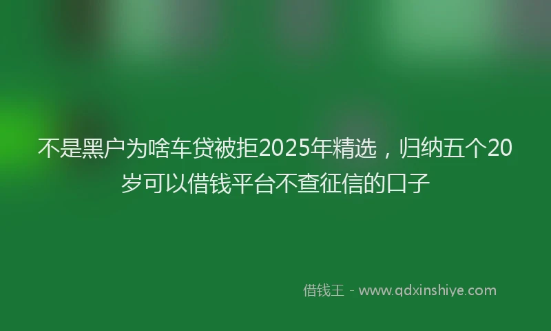 不是黑户为啥车贷被拒2025年精选，归纳五个20岁可以借钱平台不查征信的口子