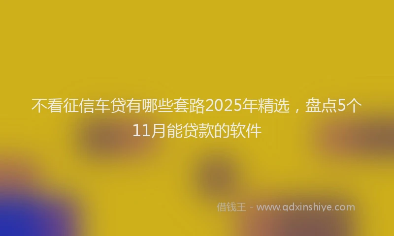 不看征信车贷有哪些套路2025年精选，盘点5个11月能贷款的软件
