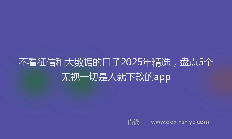 不看征信和大数据的口子2025年精选，盘点5个无视一切是人就下款的app