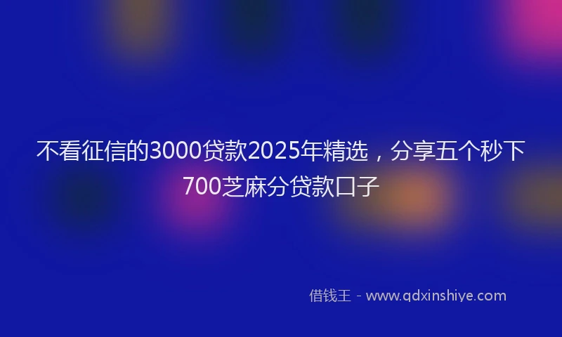不看征信的3000贷款2025年精选，分享五个秒下700芝麻分贷款口子