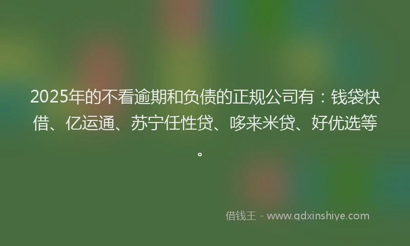2025年的不看逾期和负债的正规公司有：钱袋快借、亿运通、苏宁任性贷、哆来米贷、好优选等。