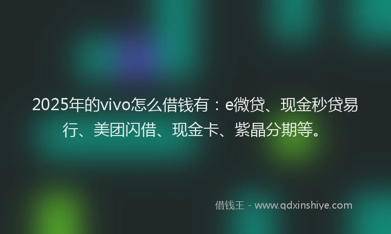 2025年的vivo怎么借钱有：e微贷、现金秒贷易行、美团闪借、现金卡、紫晶分期等。
