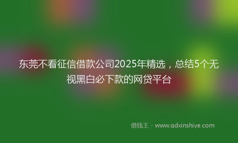 东莞不看征信借款公司2025年精选，总结5个无视黑白必下款的网贷平台