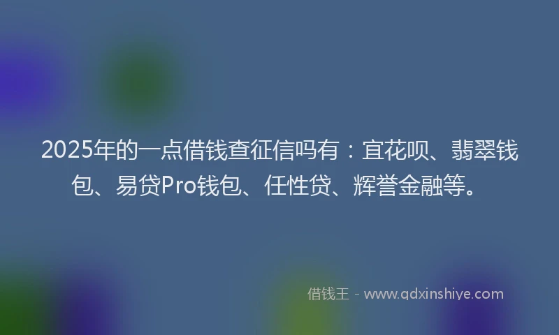 2025年的一点借钱查征信吗有：宜花呗、翡翠钱包、易贷Pro钱包、任性贷、辉誉金融等。