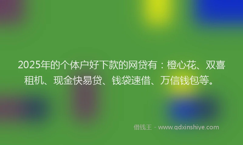 2025年的个体户好下款的网贷有：橙心花、双喜租机、现金快易贷、钱袋速借、万信钱包等。