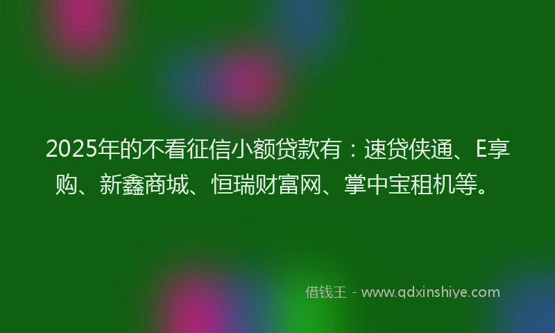 2025年的不看征信小额贷款有：速贷侠通、E享购、新鑫商城、恒瑞财富网、掌中宝租机等。
