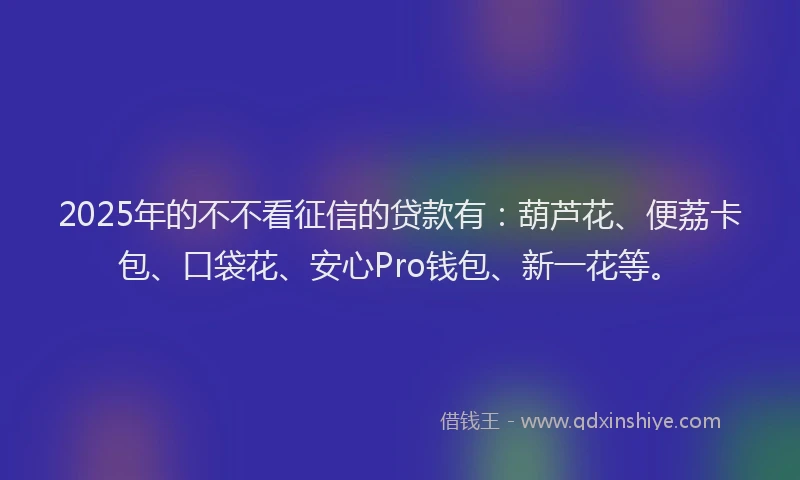 2025年的不不看征信的贷款有：葫芦花、便荔卡包、口袋花、安心Pro钱包、新一花等。