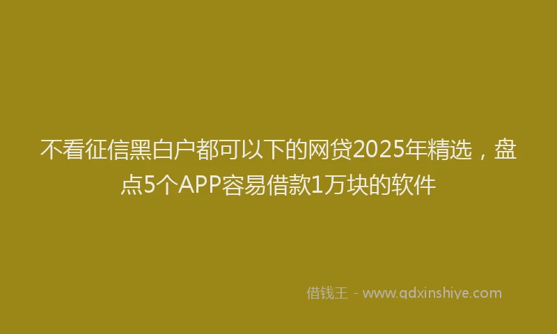 不看征信黑白户都可以下的网贷2025年精选，盘点5个APP容易借款1万块的软件